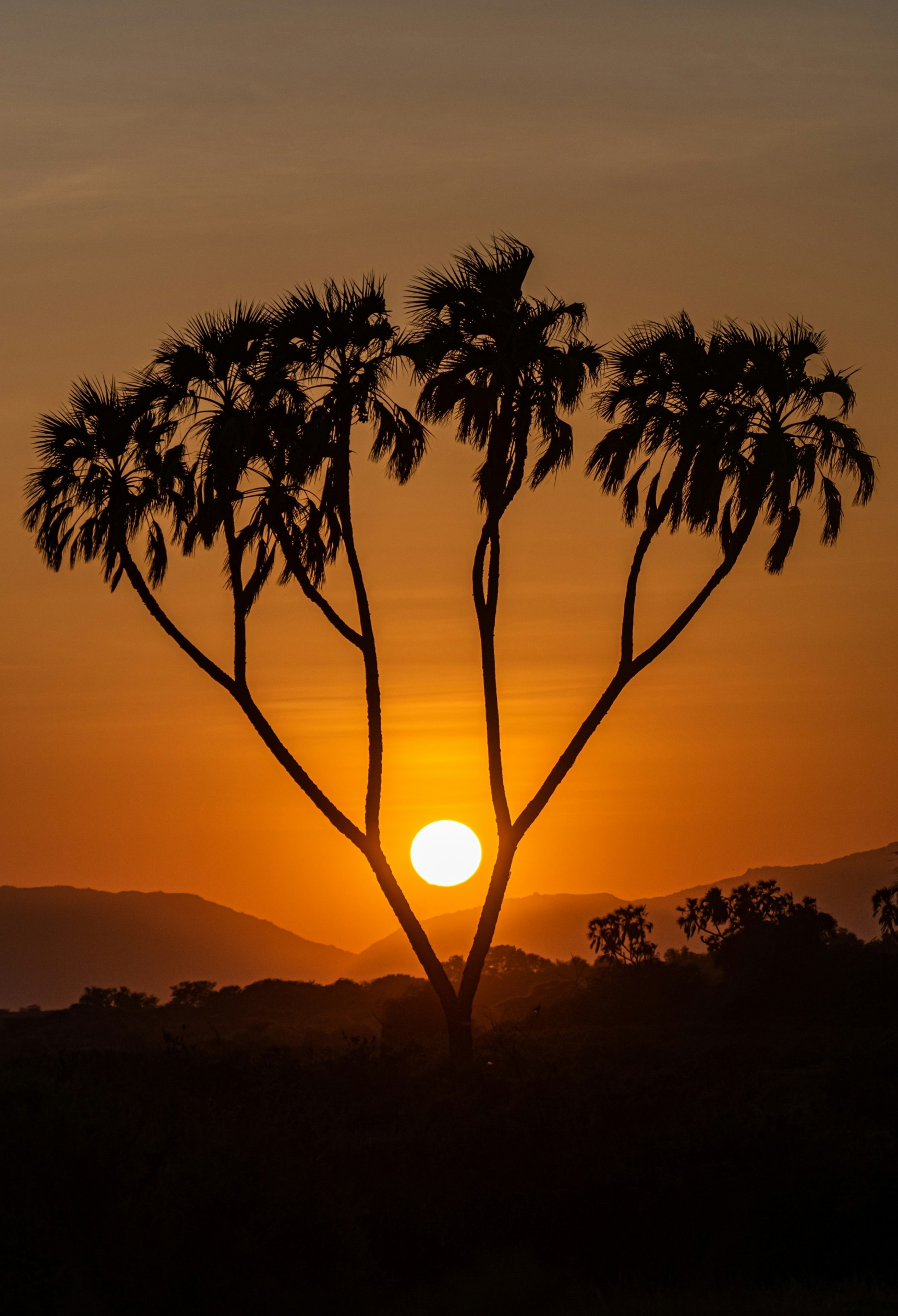 Honeymoon Safaris - Alia Adventures